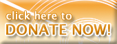 Donate to the Chicago Sinfonietta