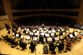 Project Inclusion Orchestral Freeman Fellowship (PIOFF)